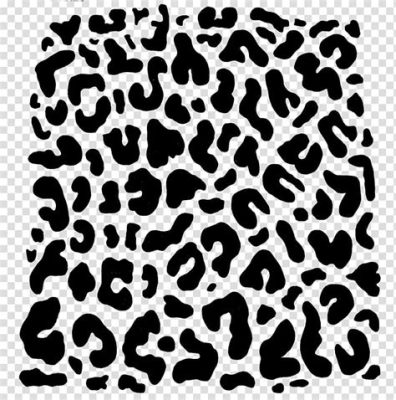 What is leopard print? A wild pattern that defies the jungle of fashion norms